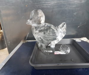 ijssculpturen vogel